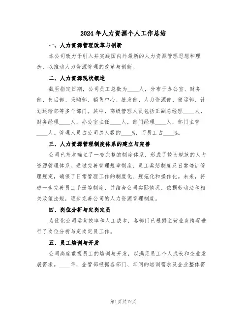 2024年人力资源个人工作总结（六篇）