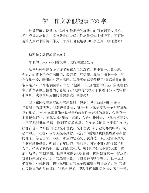 初二作文暑假趣事600字