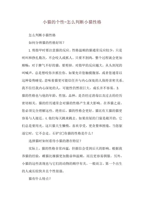 小猫的个性-怎么判断小猫性格