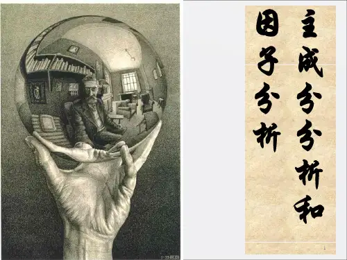 主成分分析与因子分析_OK