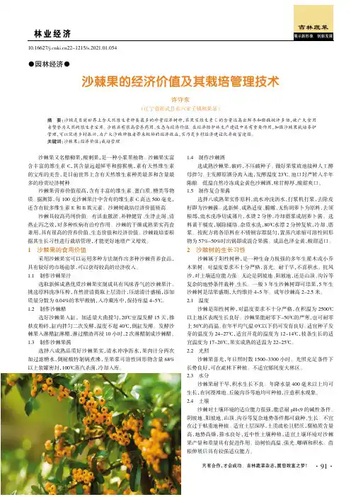 沙棘果的经济价值及其栽培管理技术