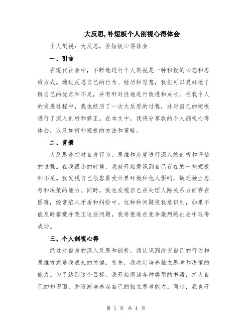 大反思,补短板个人剖视心得体会