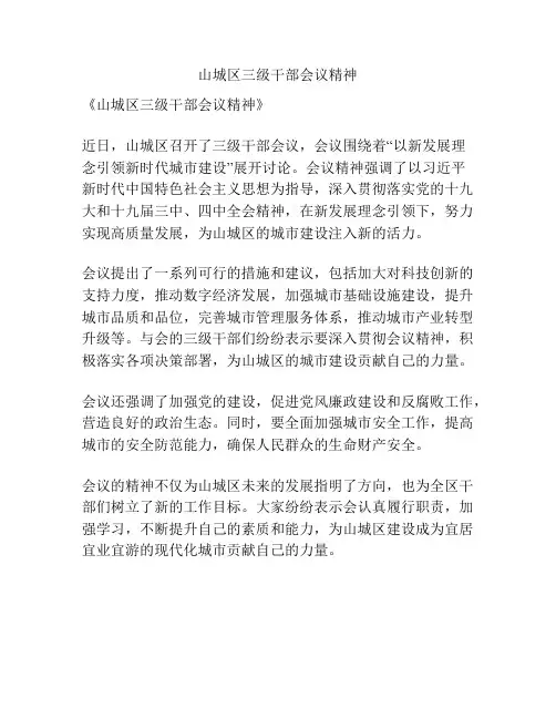 山城区三级干部会议精神