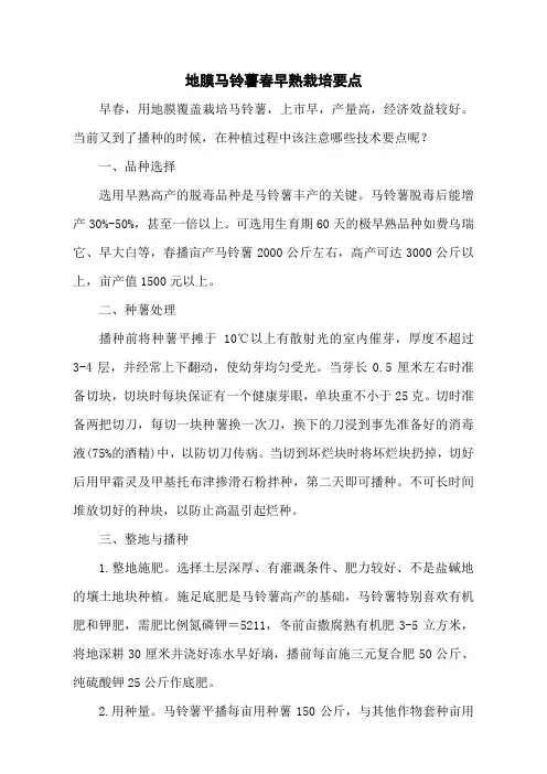 地膜马铃薯春早熟栽培要点