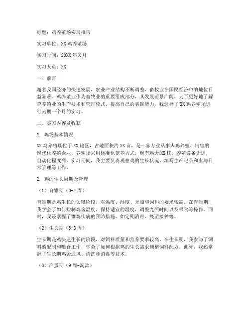 鸡养殖场实习报告