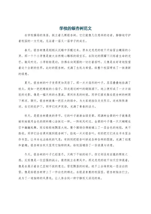 学校的银杏树范文