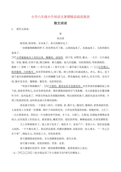 统编版小升初语文暑期经典阅读训练-散文阅读5(含答案) 