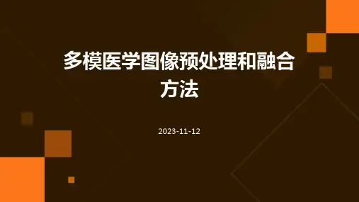 多模医学图像预处理和融合方法