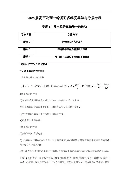 专题57 带电粒子在磁场中的运动-2025版高三物理一轮复习多维度导学与分层专练