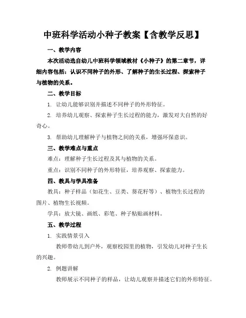 中班科学活动小种子教案【含教学反思】