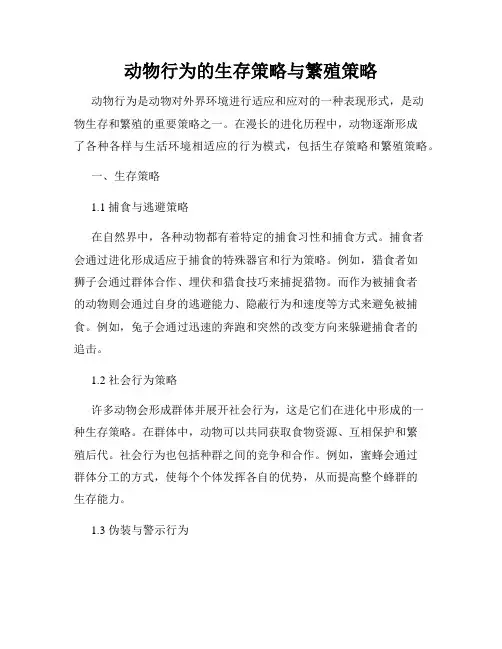 动物行为的生存策略与繁殖策略