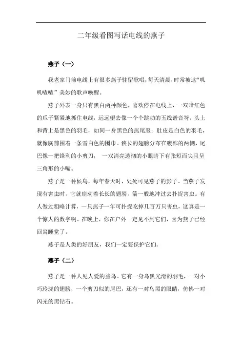 二年级看图写话电线的燕子
