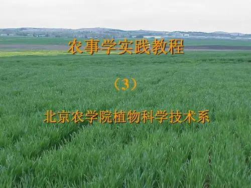 农事学实践教程