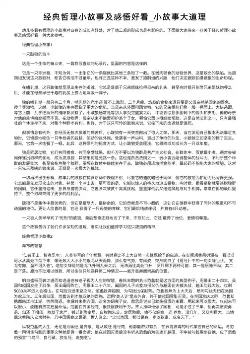 经典哲理小故事及感悟好看_小故事大道理