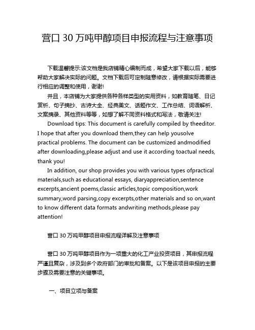 营口30万吨甲醇项目申报流程与注意事项