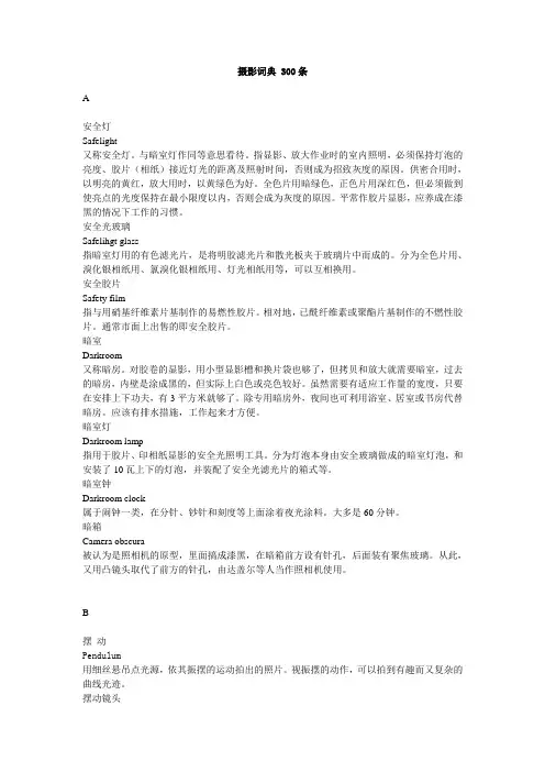 摄影词典对译 300条