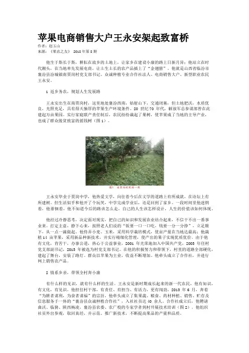 苹果电商销售大户王永安架起致富桥