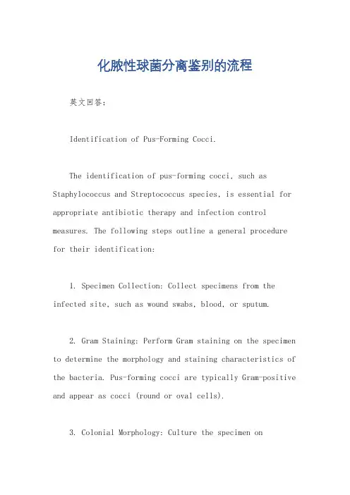化脓性球菌分离鉴别的流程