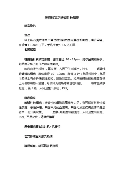 美图欣赏之嗜碱性粒细胞