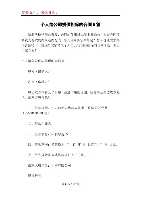 个人给公司提供担保的合同5篇