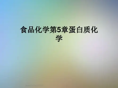食品化学第5章蛋白质化学