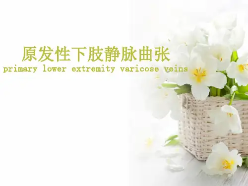 原发性下肢静脉曲张ppt课件