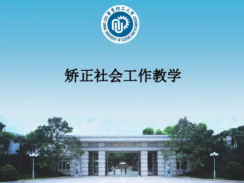 矫正社会工作ppt课件