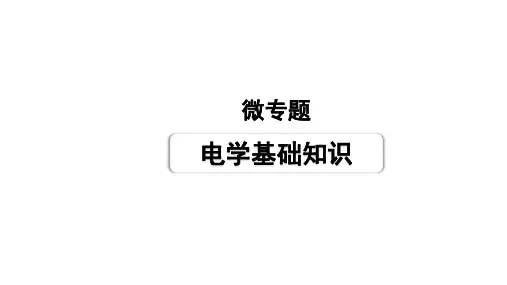2024成都中考物理二轮专题复习 微专题 电学基础知识(课件)
