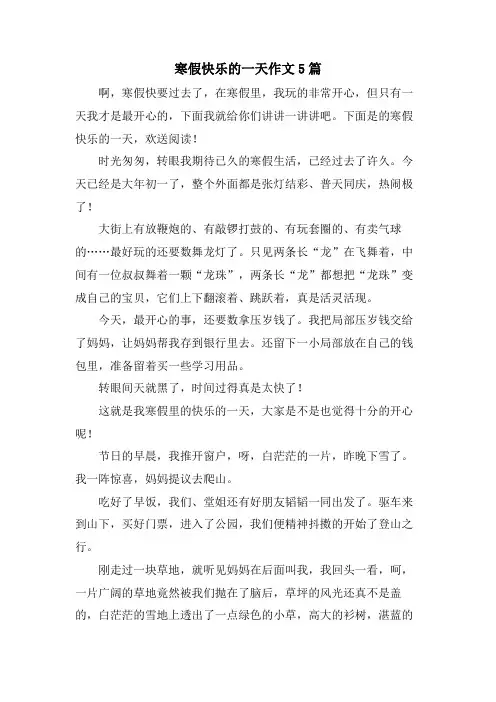 寒假快乐的一天作文5篇