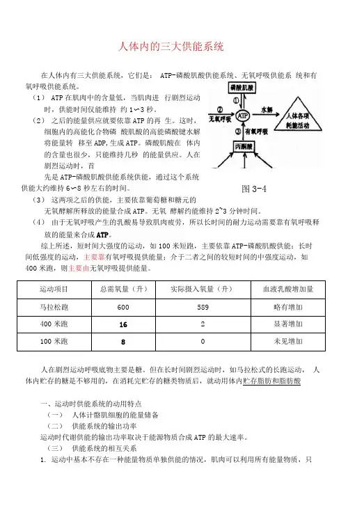 人体三大供能系统