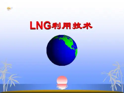 LNG利用技术