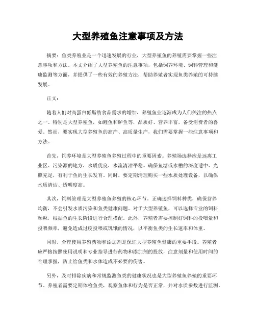 大型养殖鱼注意事项及方法