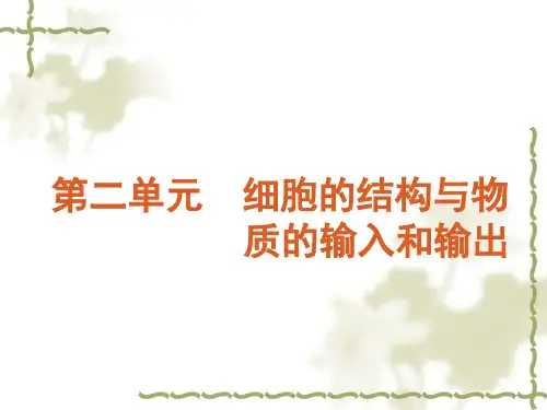 2012届高考生物一轮复习精品课件：第5讲 细胞膜、细胞器及细胞核