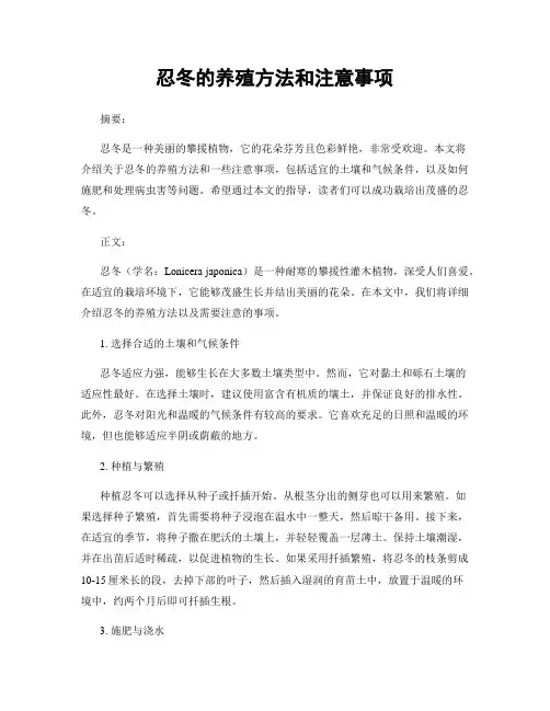 忍冬的养殖方法和注意事项