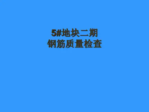 住宅楼工程钢筋质量检查汇报