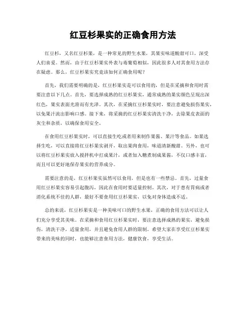 红豆杉果实的正确食用方法