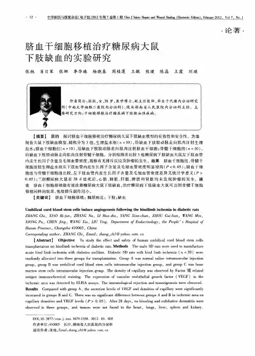 脐血干细胞移植治疗糖尿病大鼠下肢缺血的实验研究