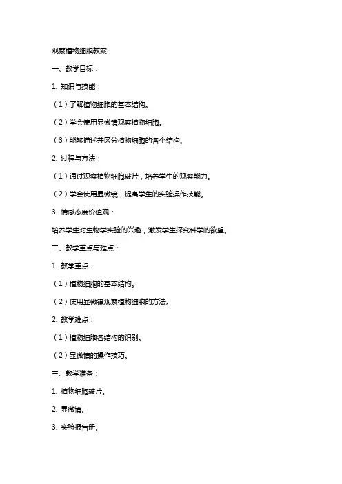 观察植物细胞教案