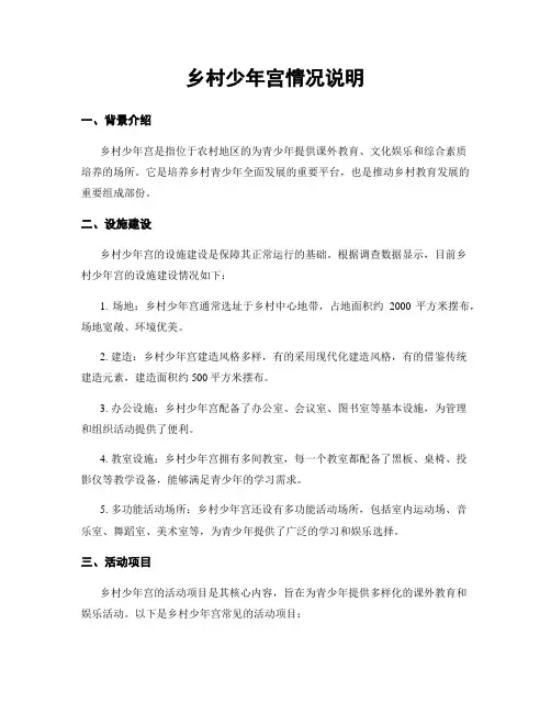 乡村少年宫情况说明