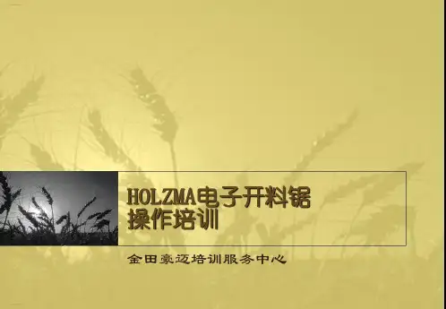 HOLZMA电子开料锯操作培训教材(PPT34页)
