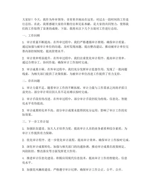 外审领导总结发言稿