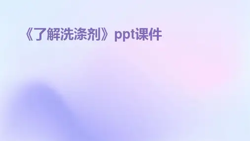 《了解洗涤剂》课件