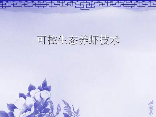 可控生态养虾技术PPT课件