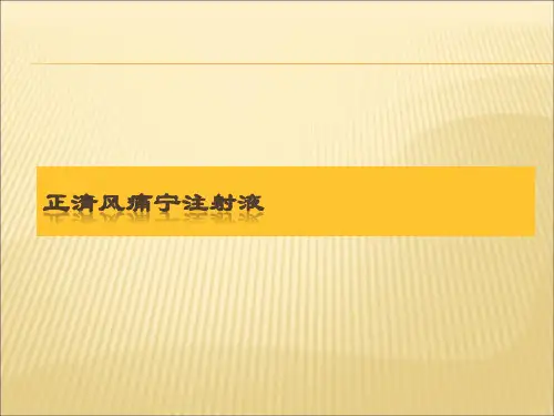 正清风痛宁