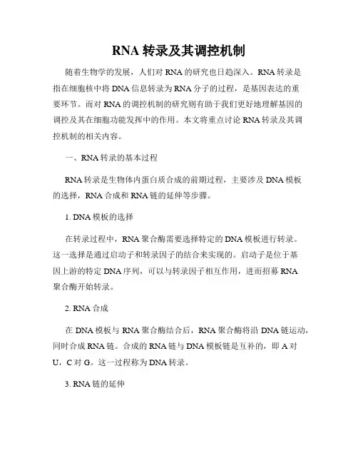RNA转录及其调控机制