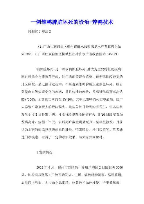 一例雏鸭脾脏坏死的诊治 - 养鸭技术