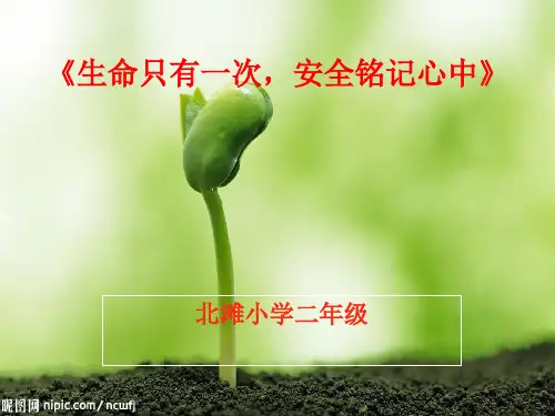 小学二年级安全教育主题班会ppt