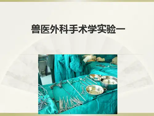 兽医外科手术学实验ppt课件