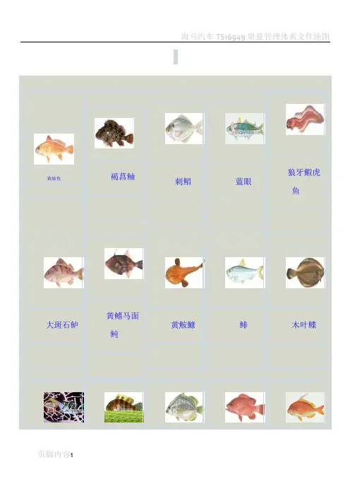 海鱼大全