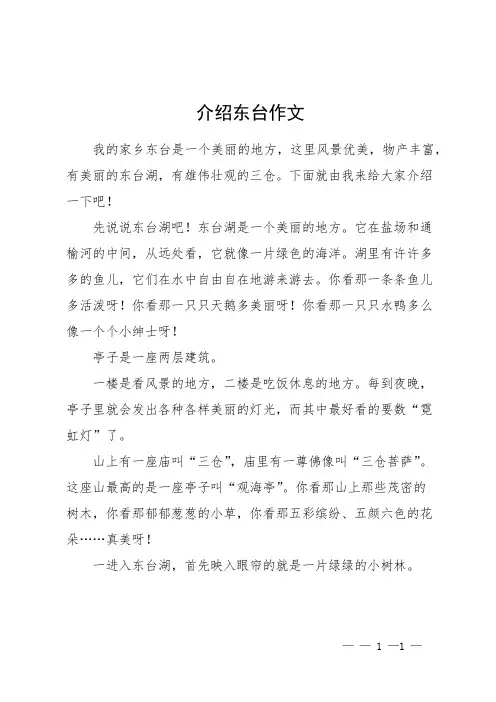 介绍东台作文
